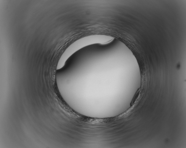 X0000116110186200912141030