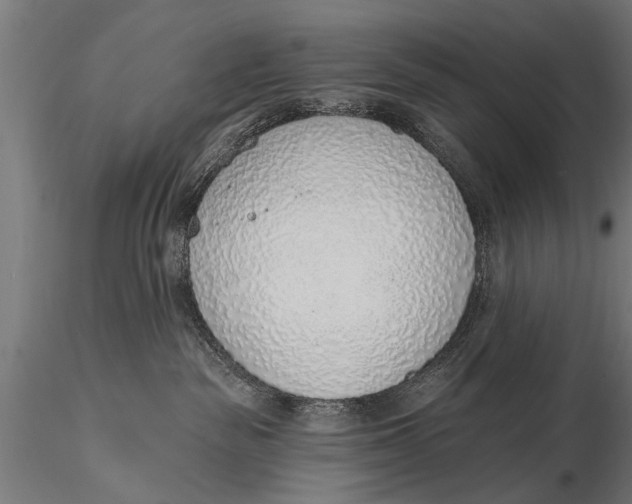 X0000116110189200912141030