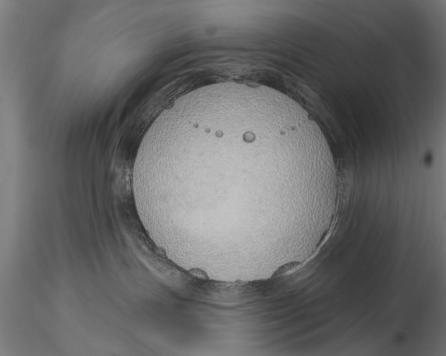 X0000116110191200912141030