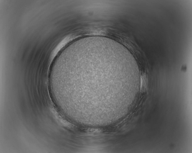 X0000116110195200912141029