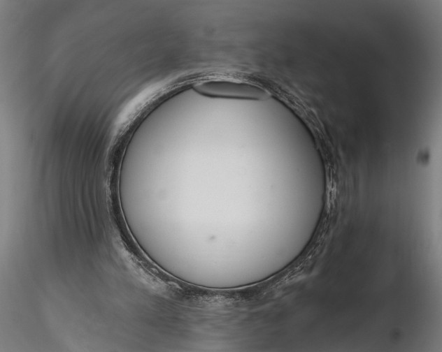 X0000116110197200912141029