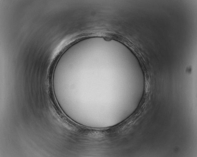 X0000116110198200912141029