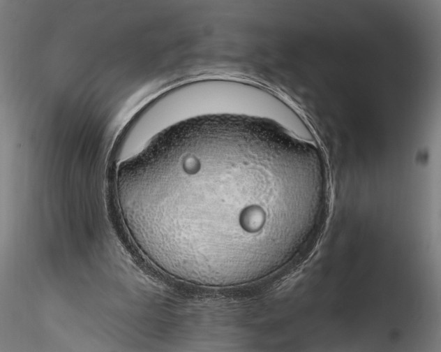 X0000116110199200912141029