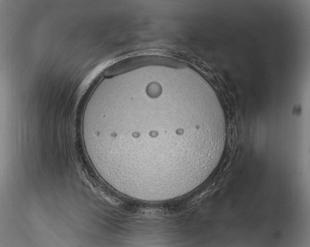 X0000116110200200912141029