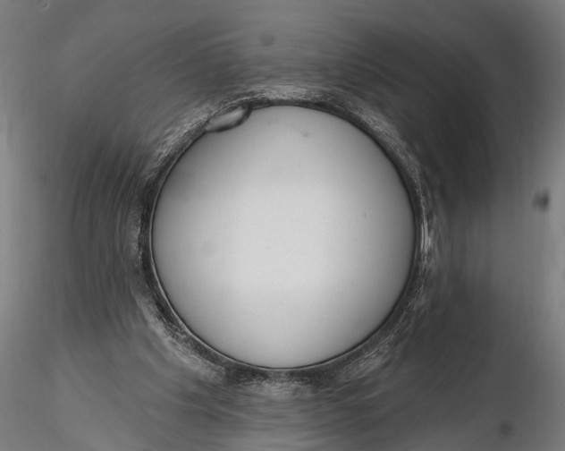 X0000116110201200912141029