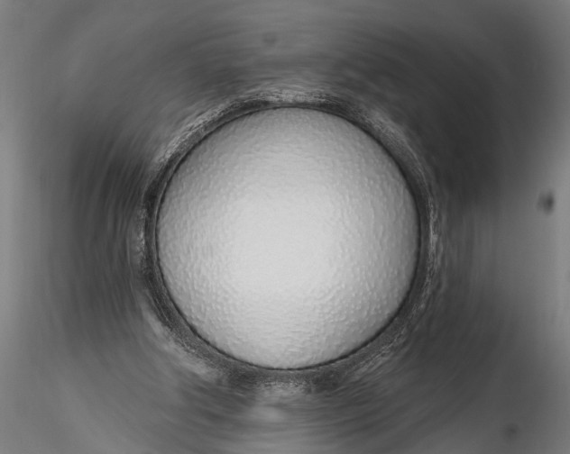 X0000116110202200912141029