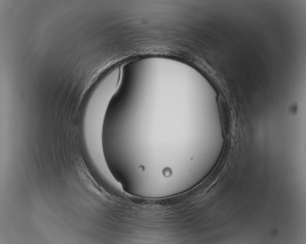 X0000116110203200912141029