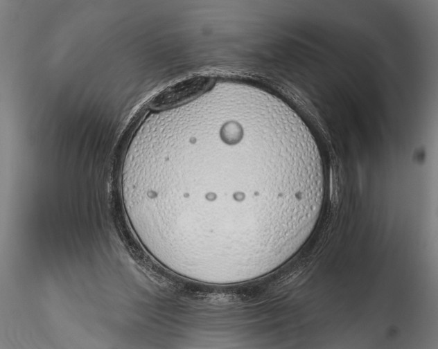 X0000116110204200912141029