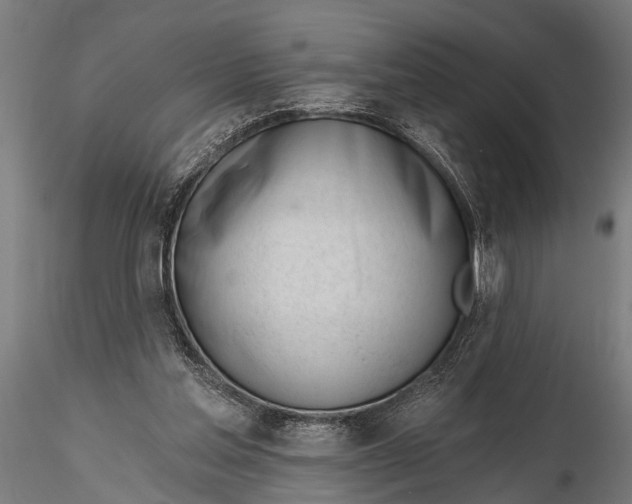 X0000116110205200912141029