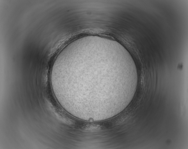 X0000116110206200912141029