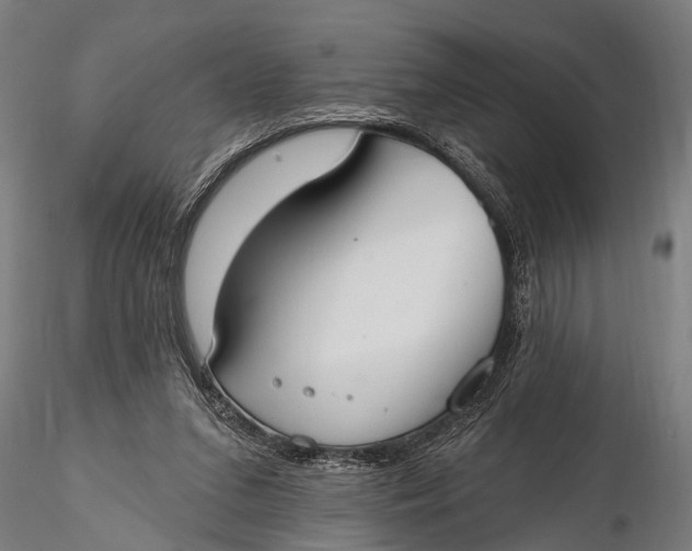 X0000116110207200912141029