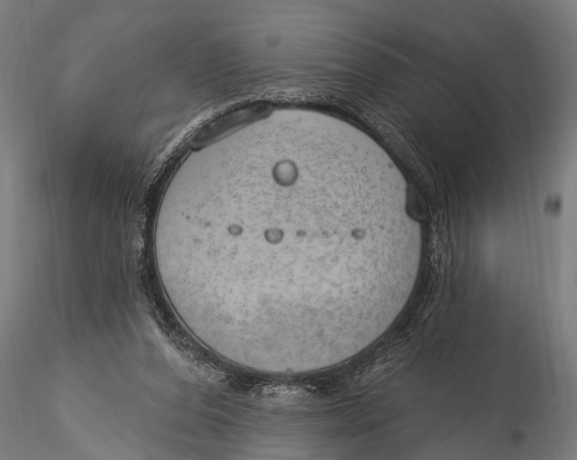 X0000116110208200912141029