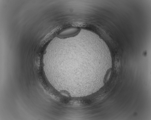 X0000116110211200912141029