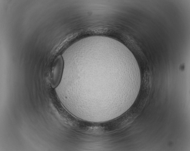 X0000116110212200912141029