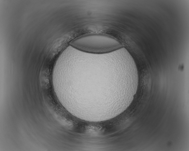 X0000116110215200912141029