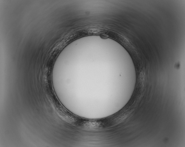 X0000116110217200912141029