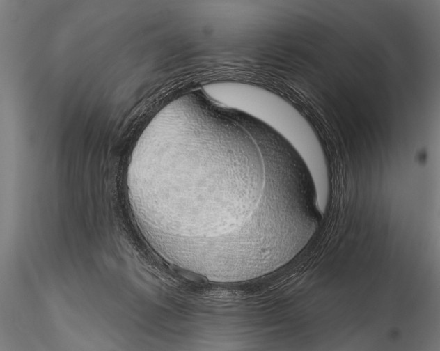 X0000116110221200912141028