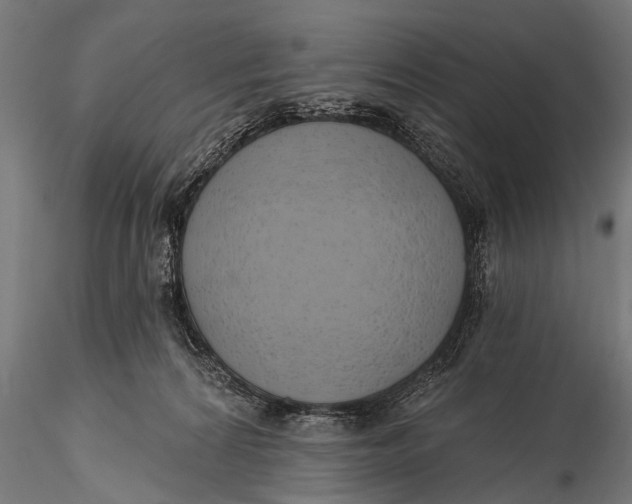 X0000116110224200912141028