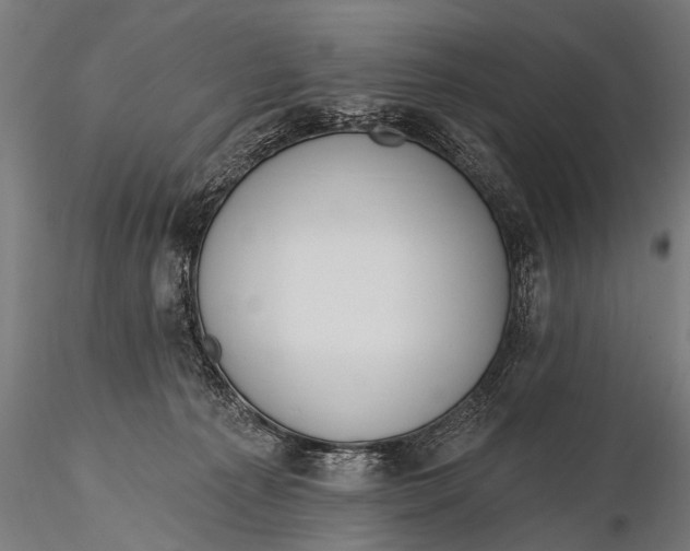 X0000116110225200912141028