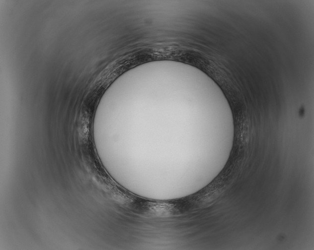 X0000116110226200912141028