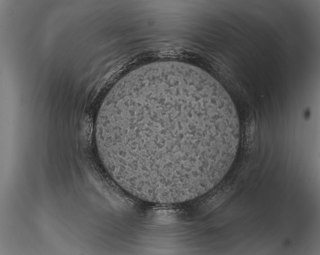 X0000116110228200912141028