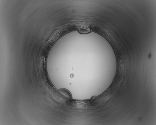 X0000116110229200912141028