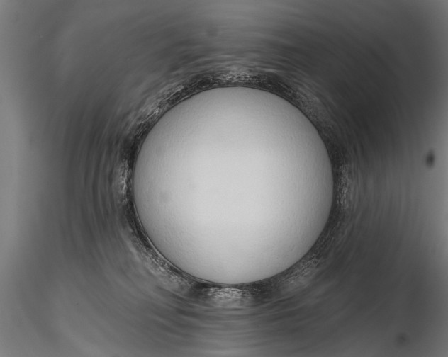 X0000116110230200912141028