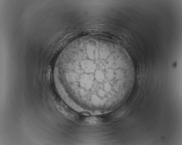 X0000116110231200912141028