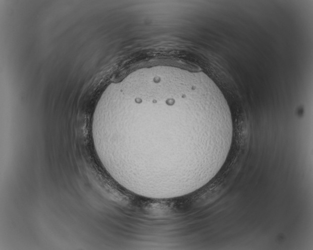 X0000116110232200912141028