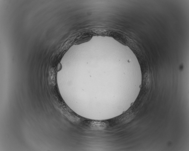 X0000116110234200912141028