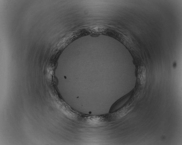 X0000116110235200912141028