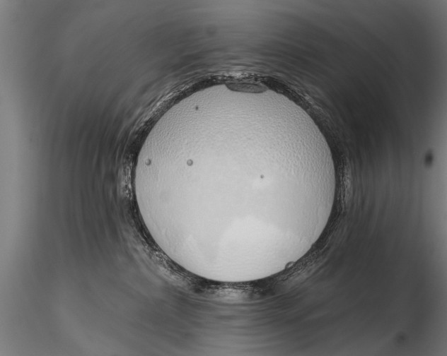 X0000116110236200912141028