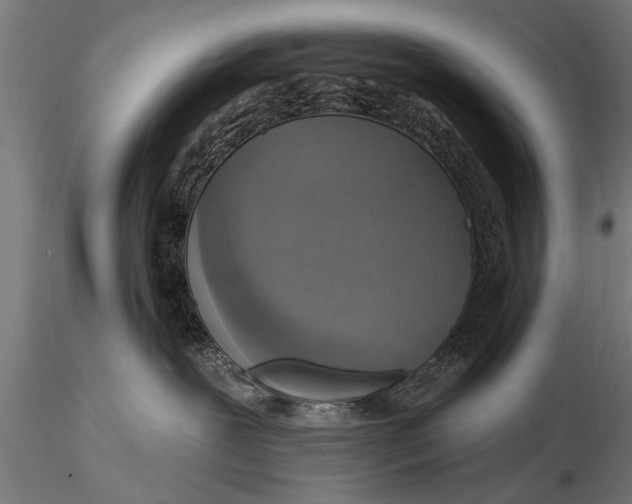 X0000116110239200912141028