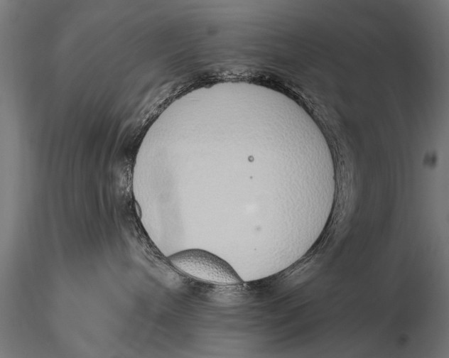 X0000116110240200912141028