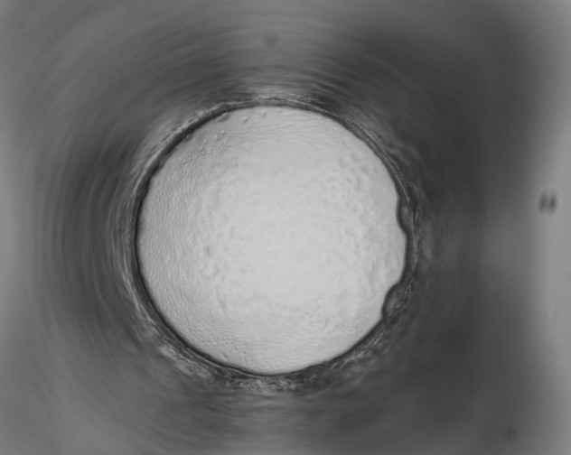 X0000116110241200912141027