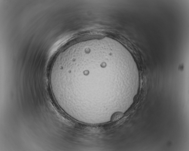 X0000116110245200912141027