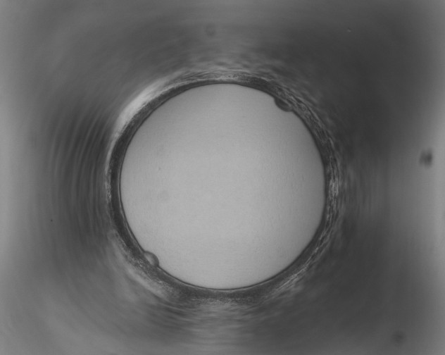 X0000116110246200912141027