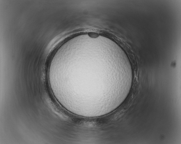 X0000116110247200912141027