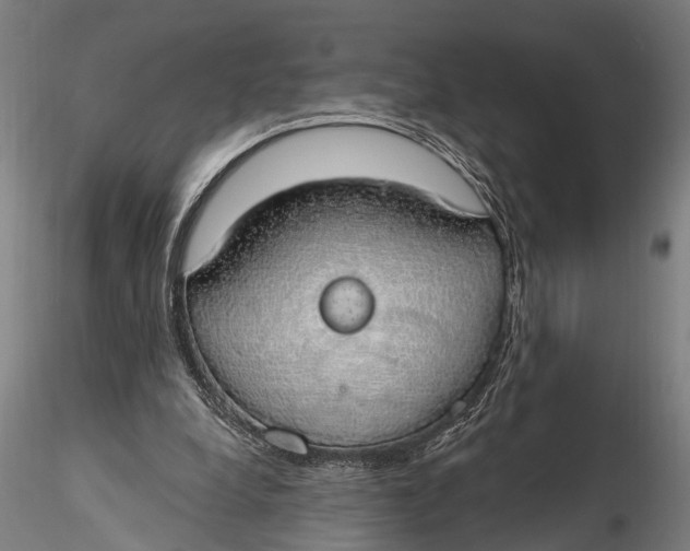 X0000116110248200912141027