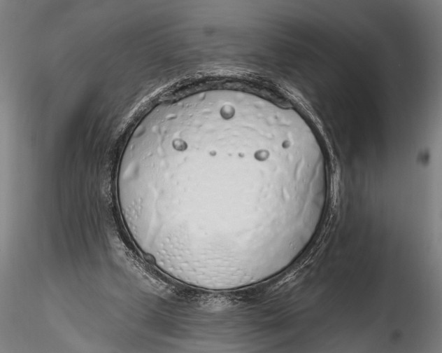 X0000116110249200912141027