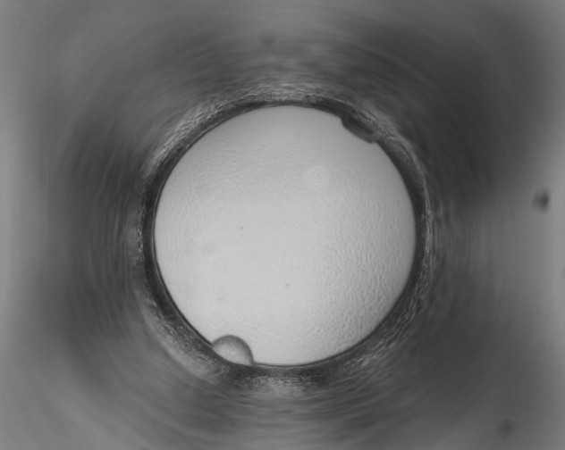 X0000116110250200912141027