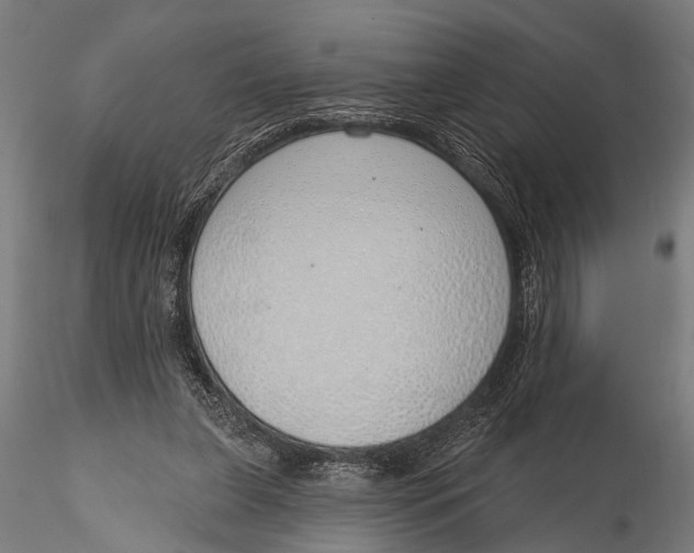 X0000116110255200912141027