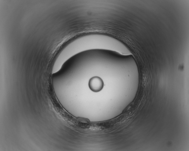 X0000116110256200912141027