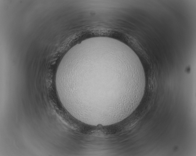 X0000116110259200912141027