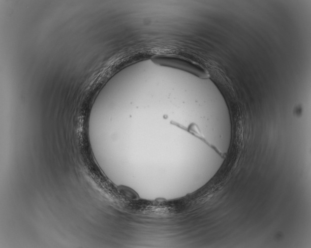 X0000116110260200912141027