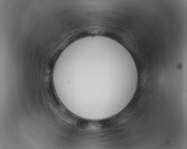 X0000116110263200912141027