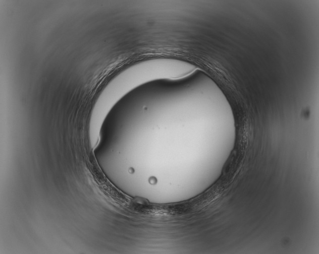 X0000116110264200912141028