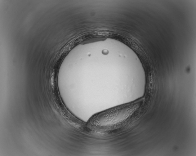 X0000116110267200912141028