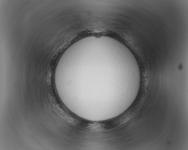 X0000116110269200912141028