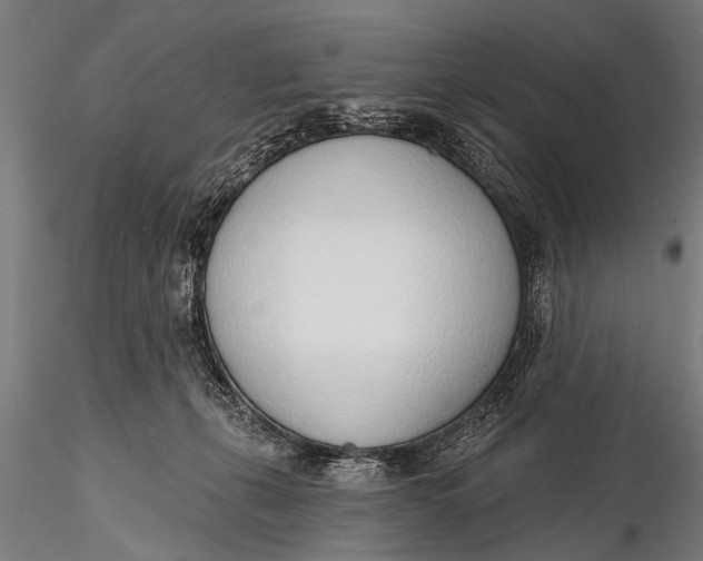 X0000116110271200912141028